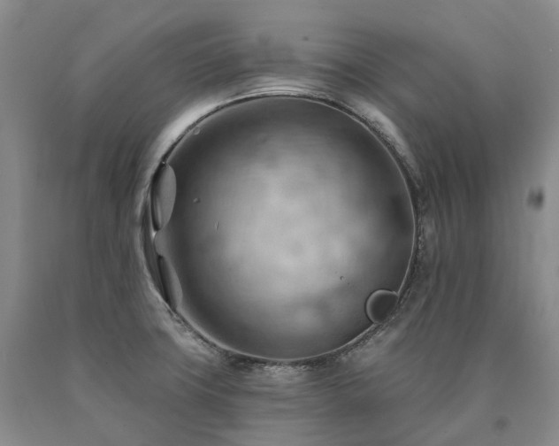 X0000090891427200707271323