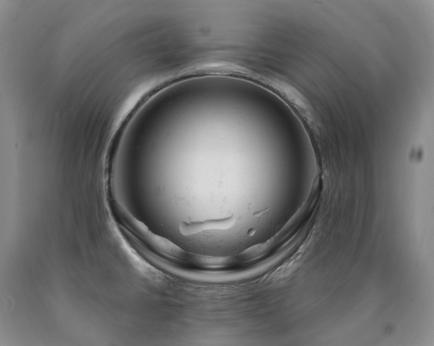 X0000090891430200707271323