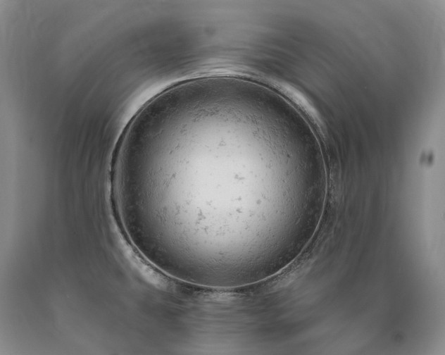 X0000090891431200707271323