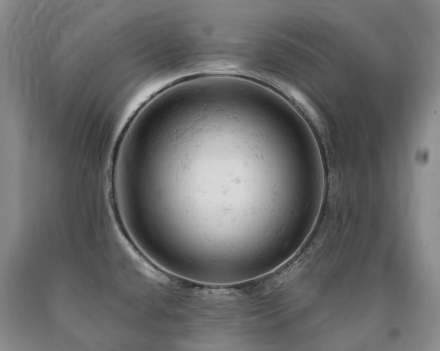 X0000090891432200707271323