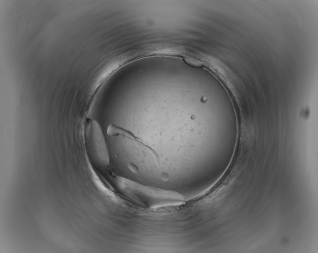 X0000090891433200707271323