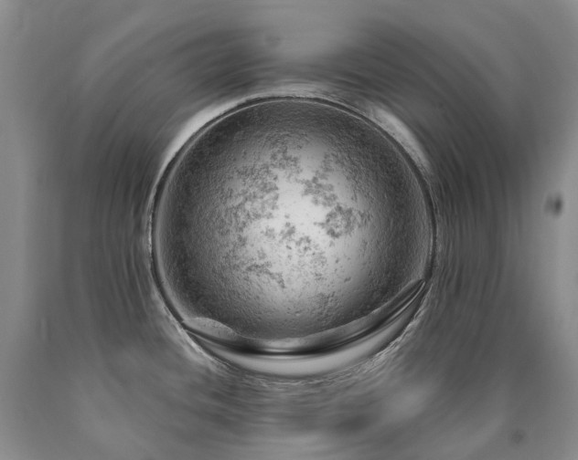 X0000090891436200707271323