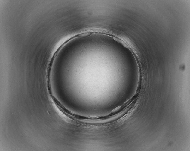 X0000090891438200707271323