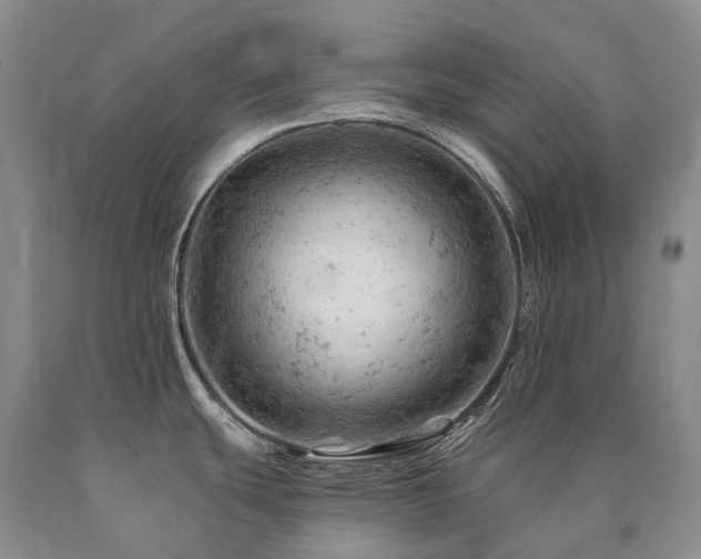 X0000090891439200707271323