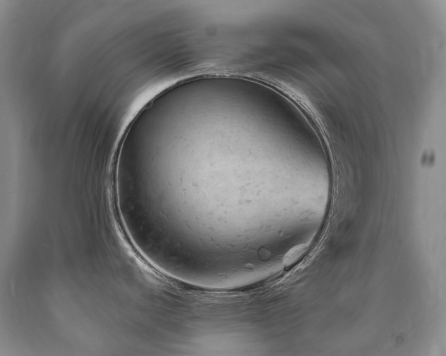 X0000090891440200707271323