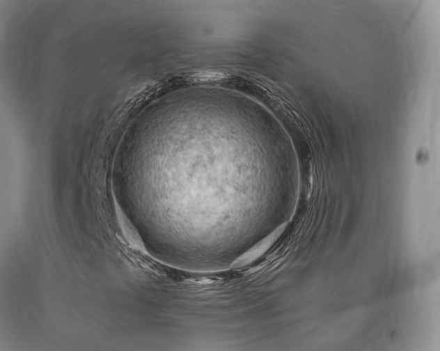 X0000090891441200707271322