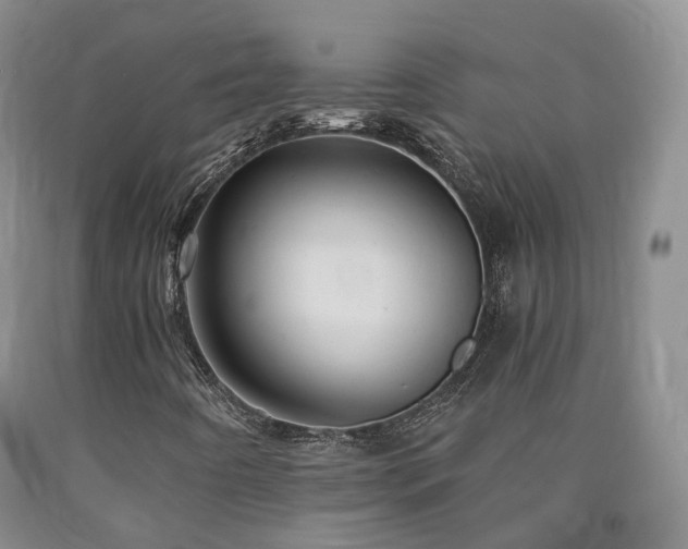 X0000090891442200707271322