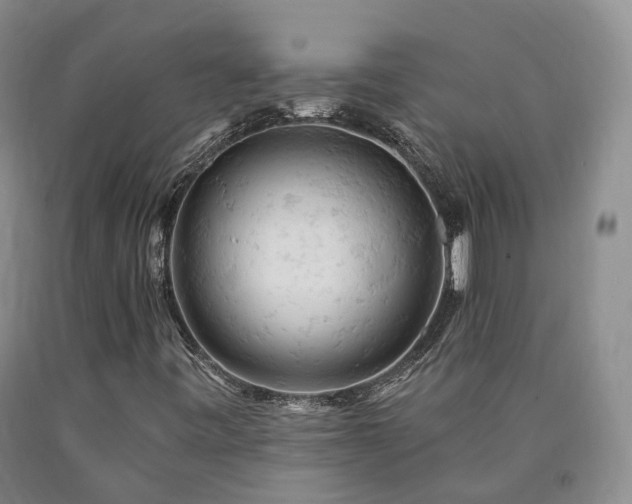 X0000090891443200707271322