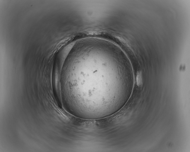 X0000090891444200707271322