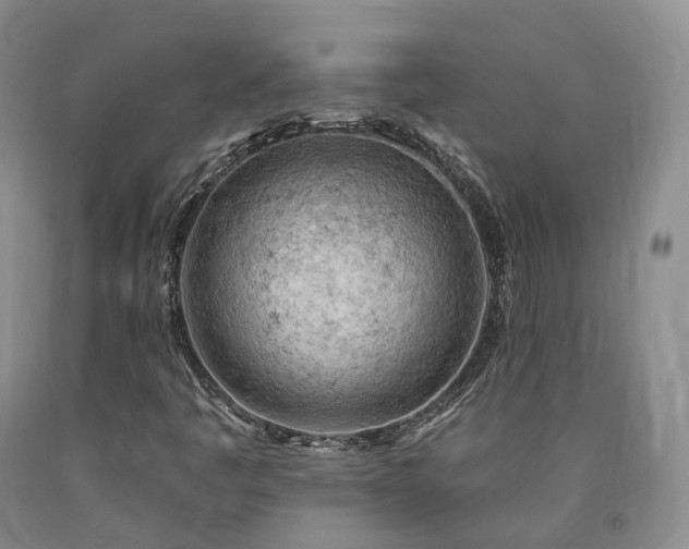 X0000090891445200707271322