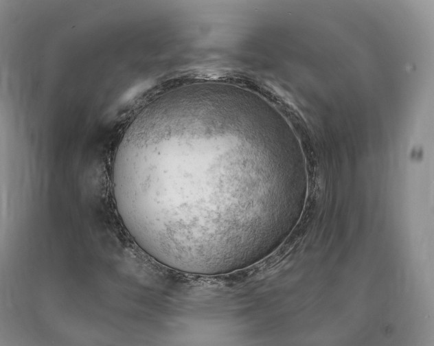 X0000090891446200707271322
