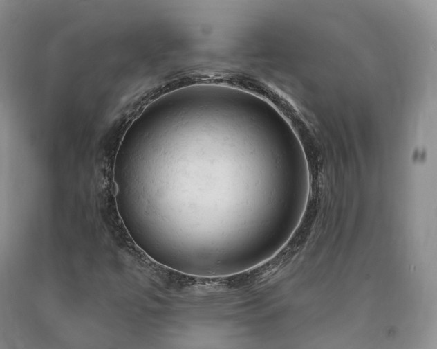 X0000090891447200707271322