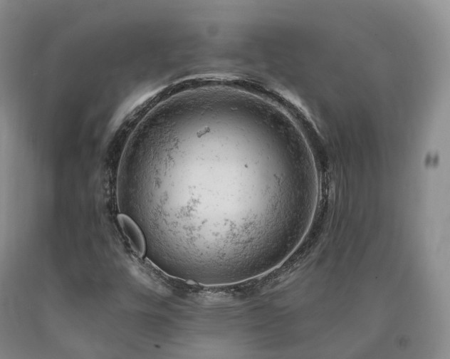 X0000090891448200707271322