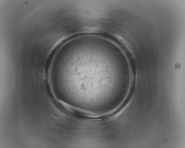 X0000090891449200707271322