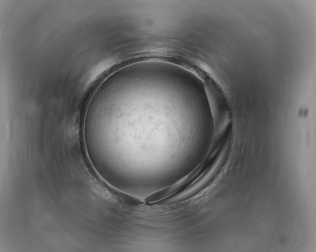 X0000090891450200707271322