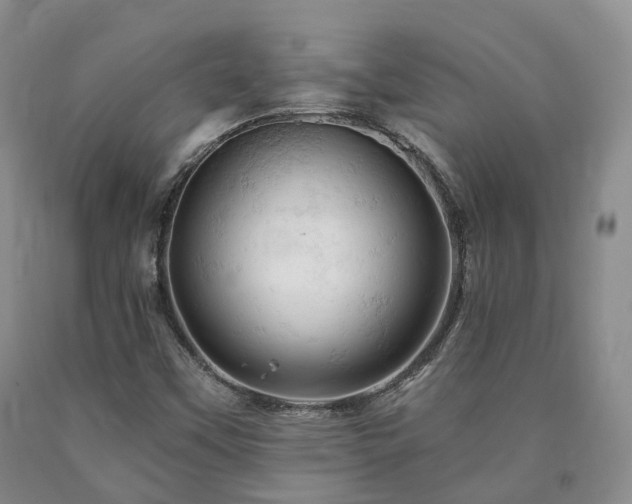 X0000090891451200707271322