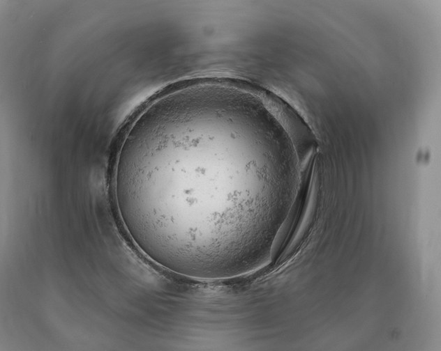 X0000090891452200707271322