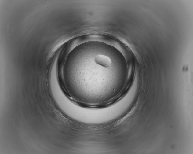 X0000090891453200707271322