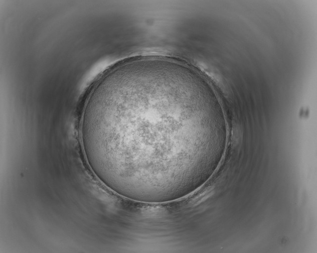 X0000090891454200707271322