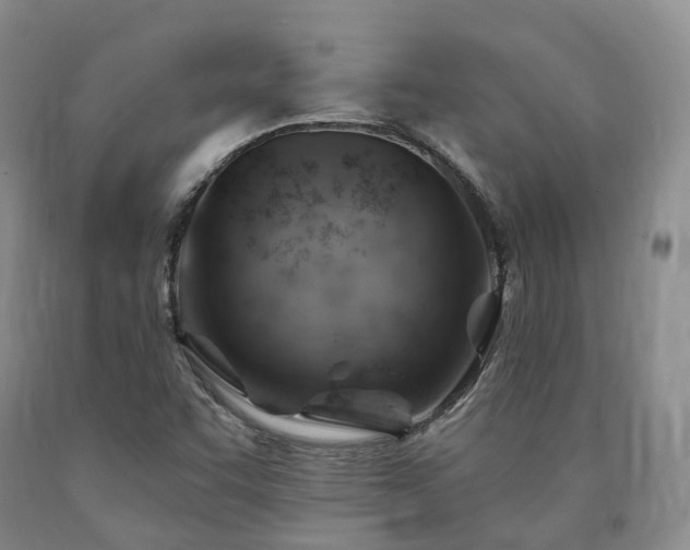 X0000090891455200707271322