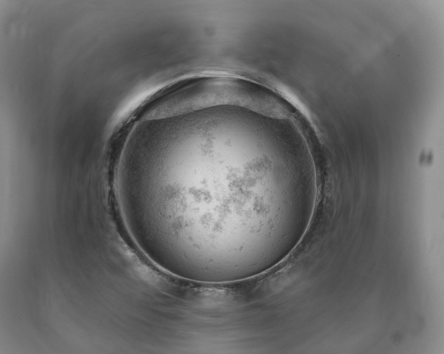 X0000090891456200707271322