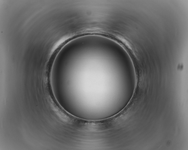 X0000090891458200707271322