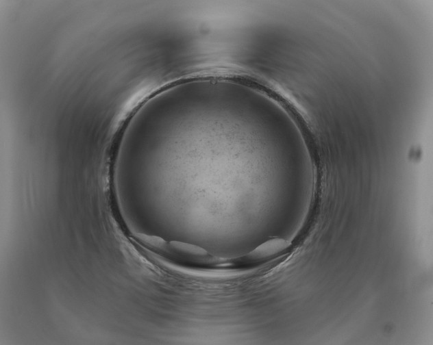 X0000090891459200707271322