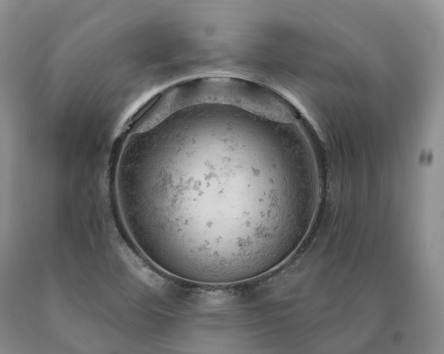 X0000090891460200707271322