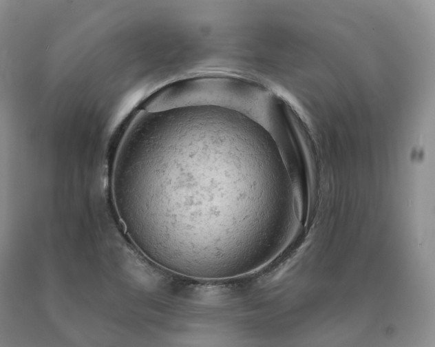 X0000090891461200707271322