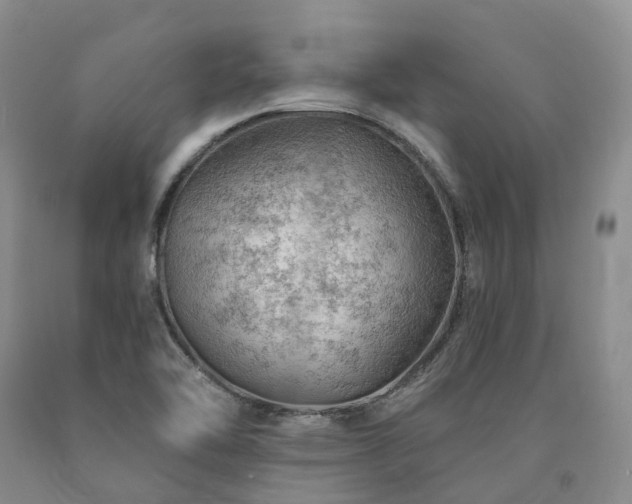 X0000090891462200707271322