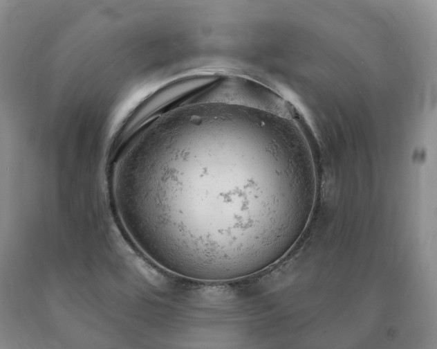 X0000090891464200707271322