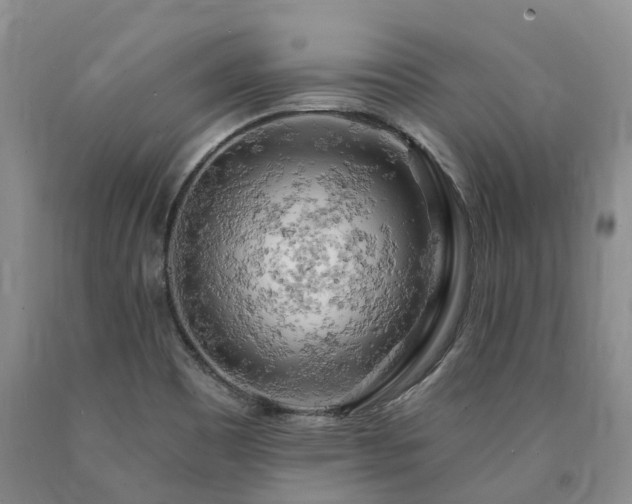 X0000090891465200707271322
