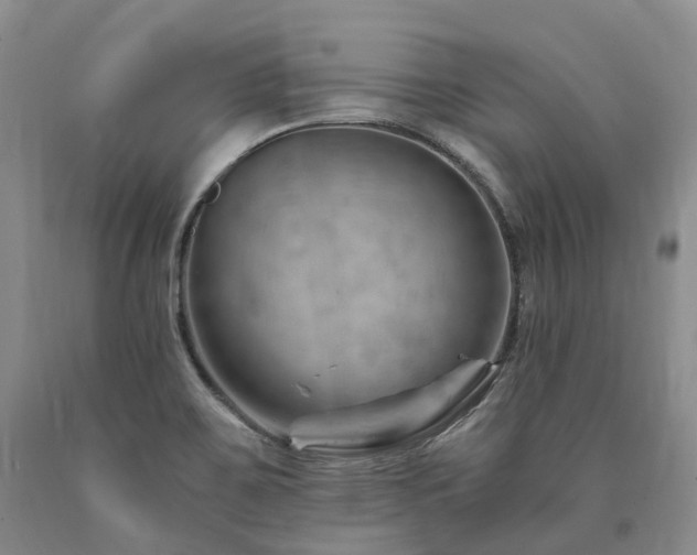 X0000090891467200707271322