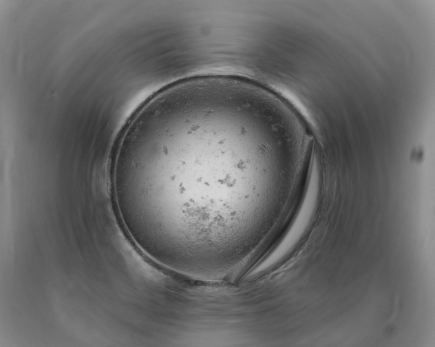 X0000090891468200707271322