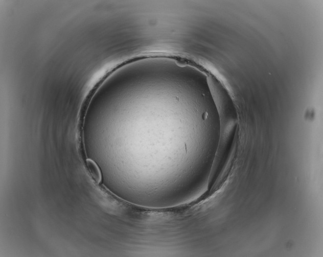X0000090891469200707271322