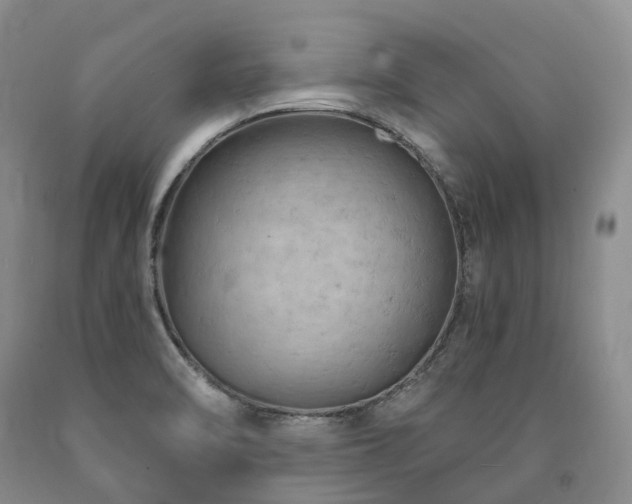 X0000090891470200707271322