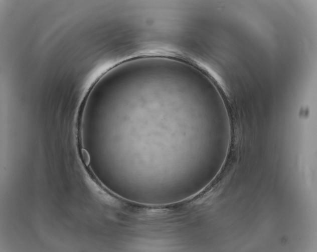 X0000090891471200707271322