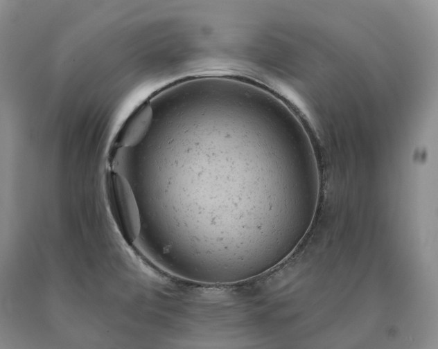 X0000090891472200707271322