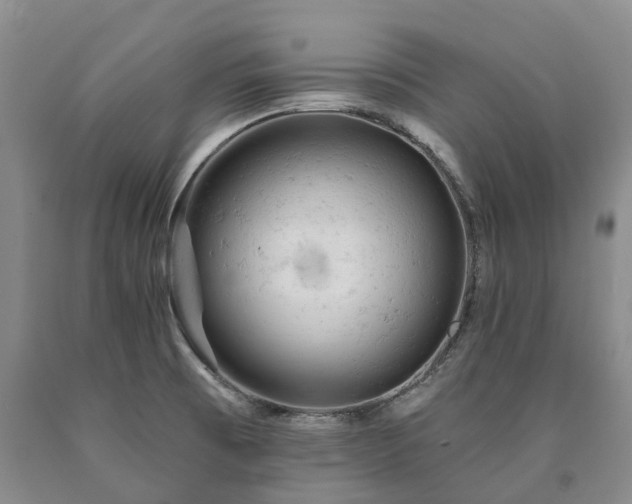 X0000090891473200707271322