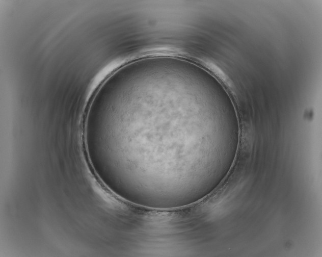 X0000090891474200707271322