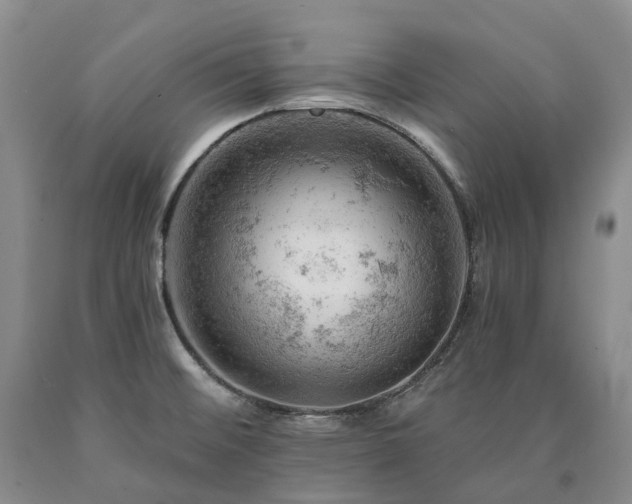 X0000090891476200707271322