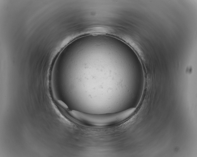 X0000090891477200707271322