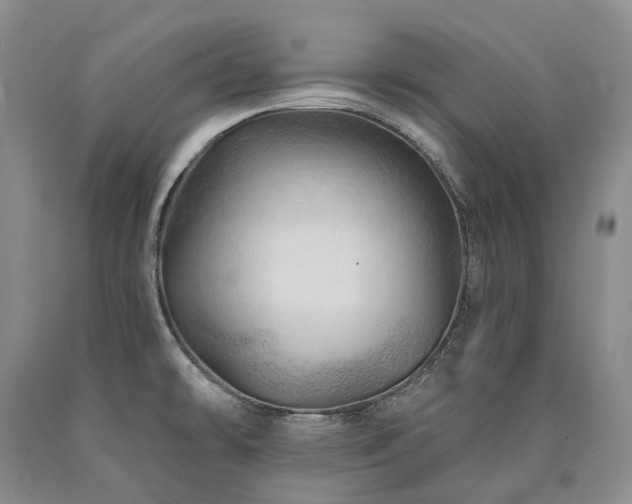 X0000090891478200707271322