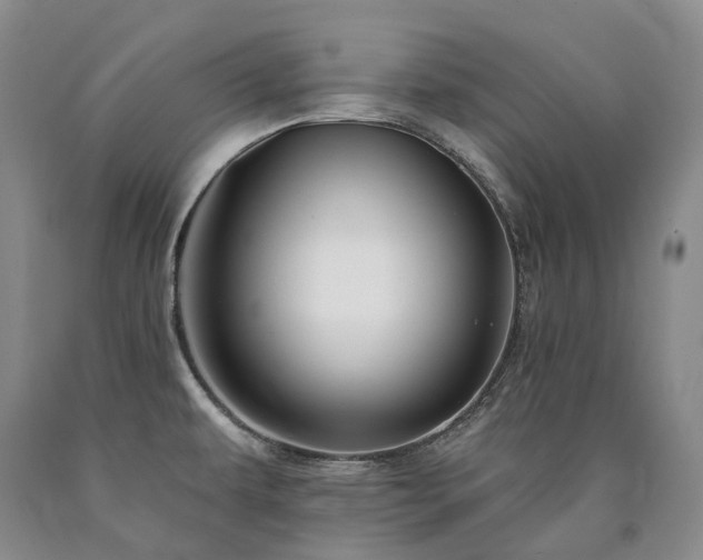 X0000090891479200707271322
