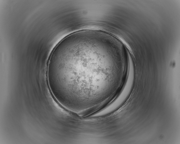 X0000090891484200707271322