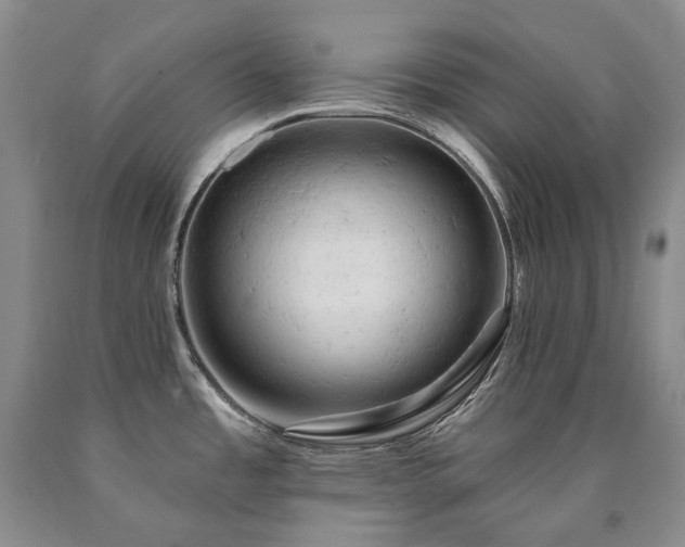 X0000090891485200707271322
