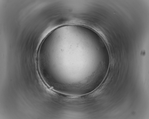 X0000090891486200707271321