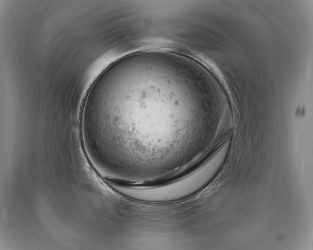 X0000090891488200707271321