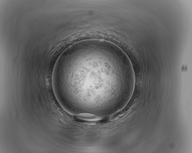 X0000090891490200707271321