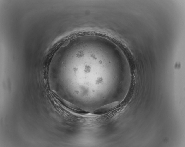 X0000090891494200707271321